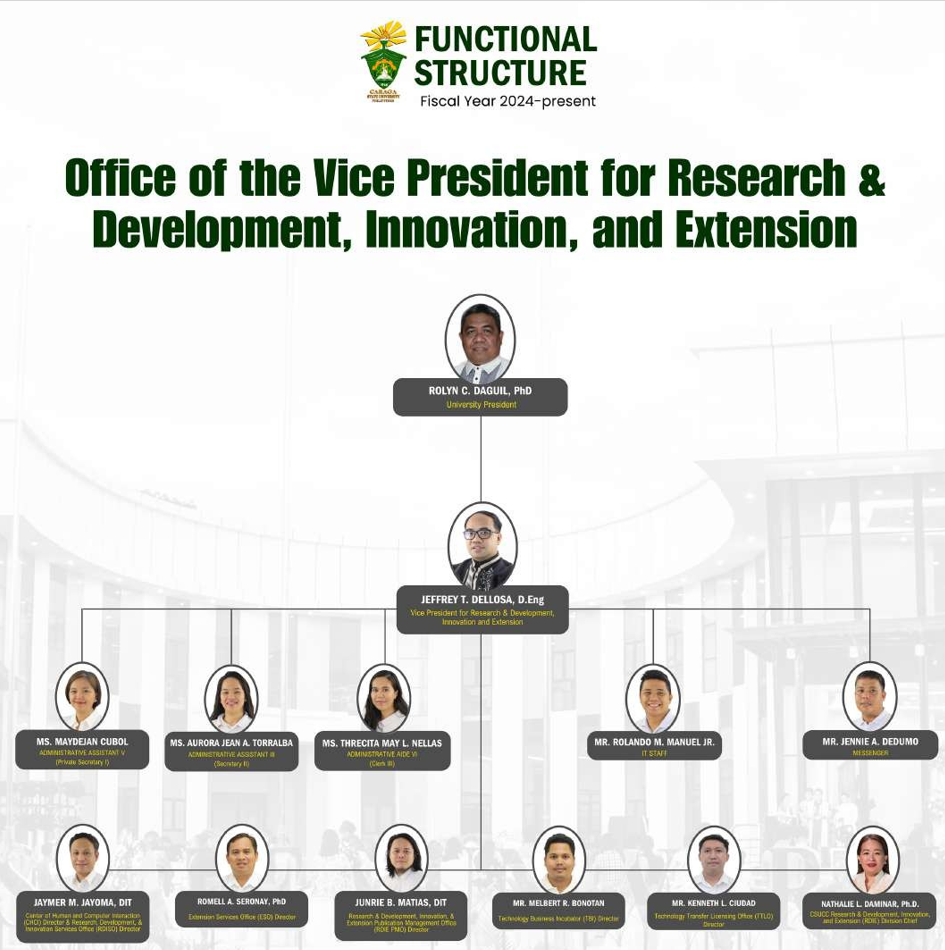 Functional Structure of the Office of the Vice President for Research and Development, Innovation and Extension